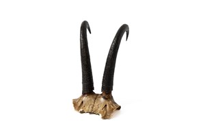 Image description is not available for 2011.57.1